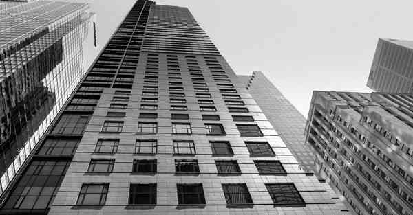 游戏公司老板_游戏公司老板12个孩子