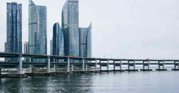 制作食物视频图片大全