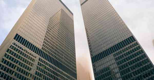 动物宣传片制作视频