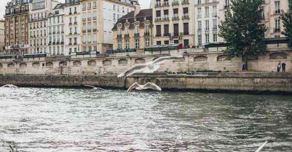 专业制作各种伴奏_专业制作各种门头灯箱