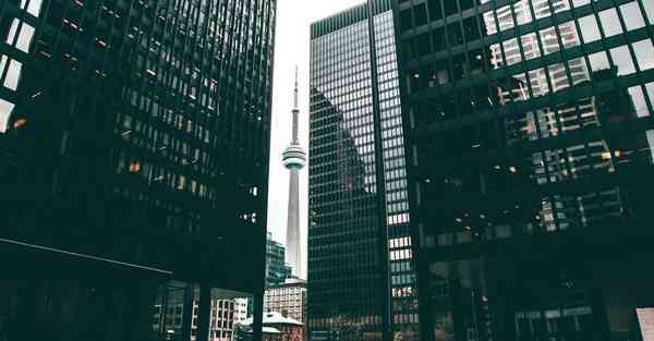 制作酒酿是用什么酒曲