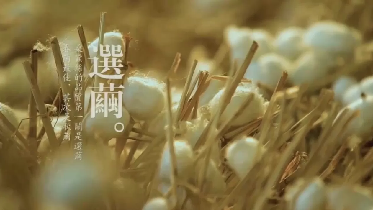 蚕丝被